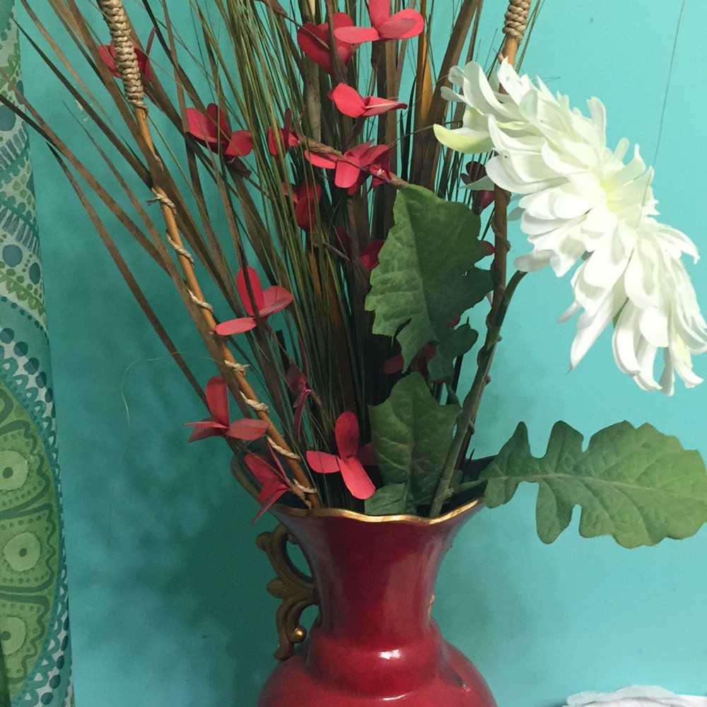 House plant for sale (decoration) for your home.